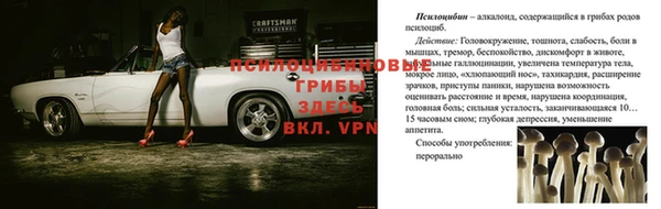 таблы Карпинск
