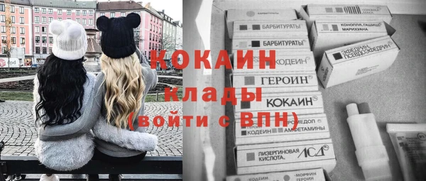 стаф Козловка