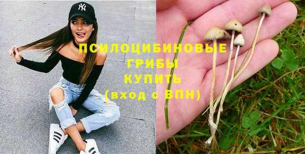 спиды Костерёво